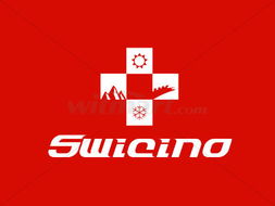 瑞士投資咨詢公司品牌形象設(shè)計(jì) CI系統(tǒng)在金融行業(yè)中的戰(zhàn)略價(jià)值